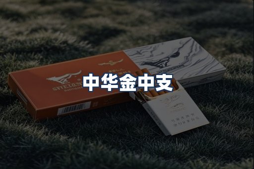 中华金中支